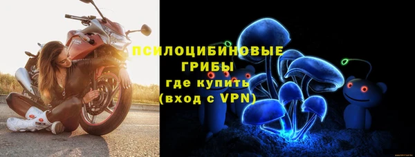 дмт Абаза