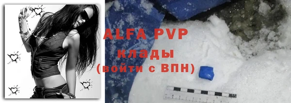 дмт Абаза