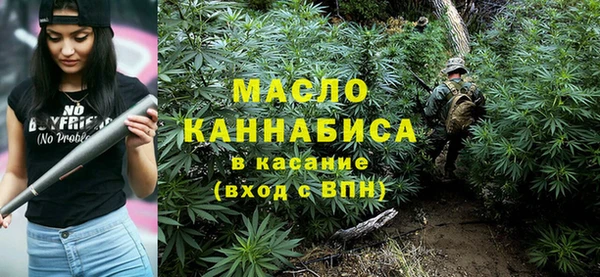 дмт Абаза