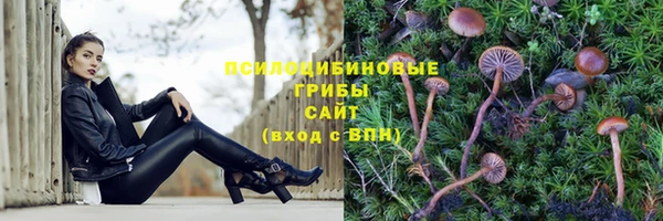 дмт Абаза